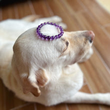 Load image into Gallery viewer, 10mm Natural Amethyst Healing Crystal Bracelet | Crown Third Eye Chakra Reiki Healing | Uplift Brainwork
